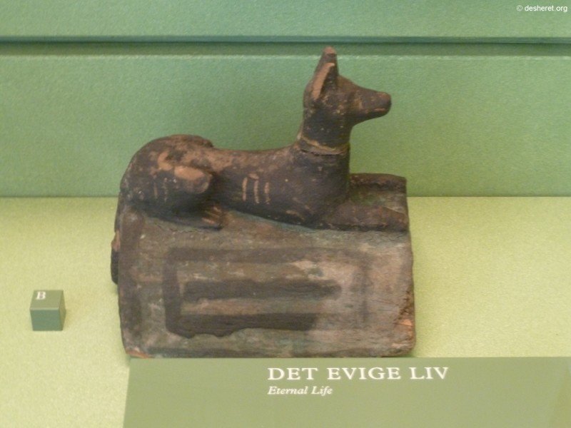 photo10.jpg