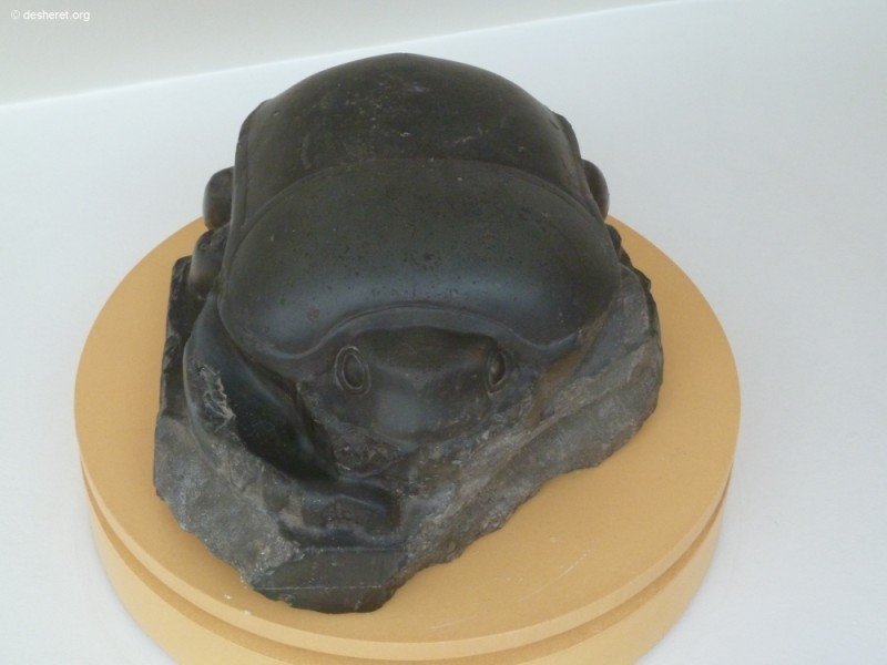 photo41.jpg