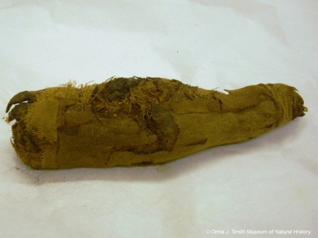 photo3.jpg