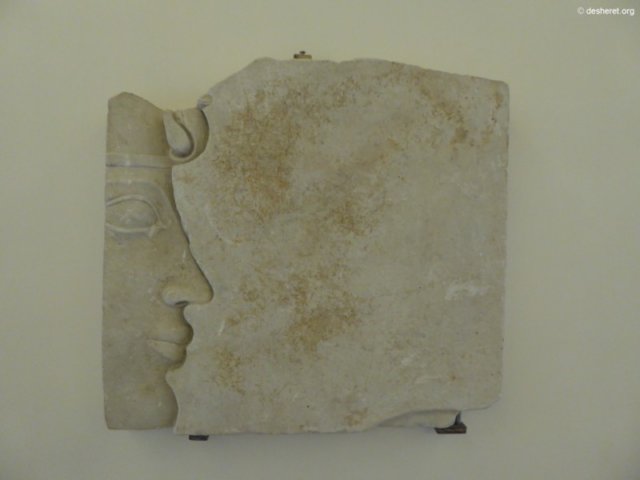 photo20.jpg
