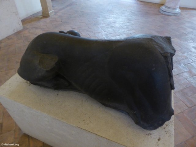 photo45.jpg