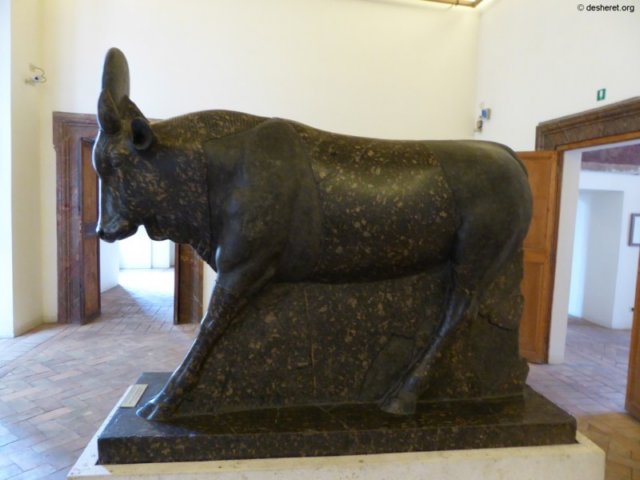 photo59.jpg