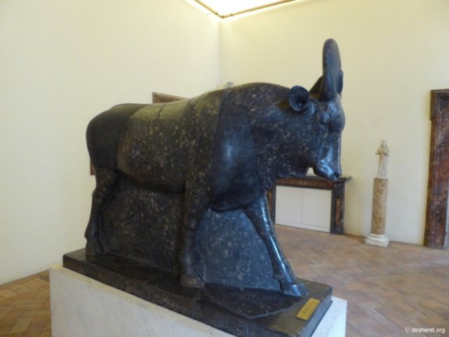 photo64.jpg