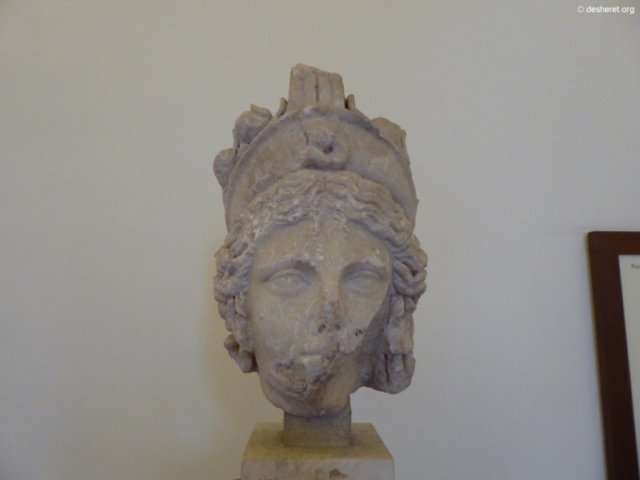 photo82.jpg