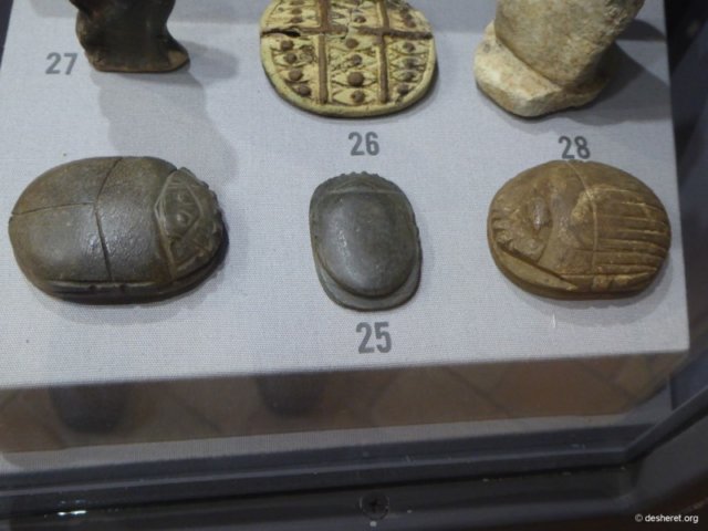 photo96.jpg