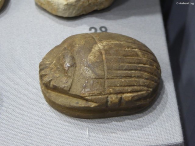 photo99.jpg