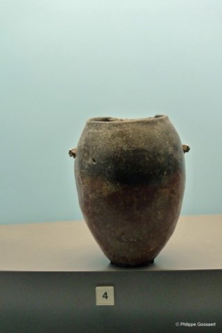 photo11.jpg