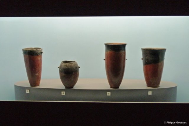 photo8.jpg