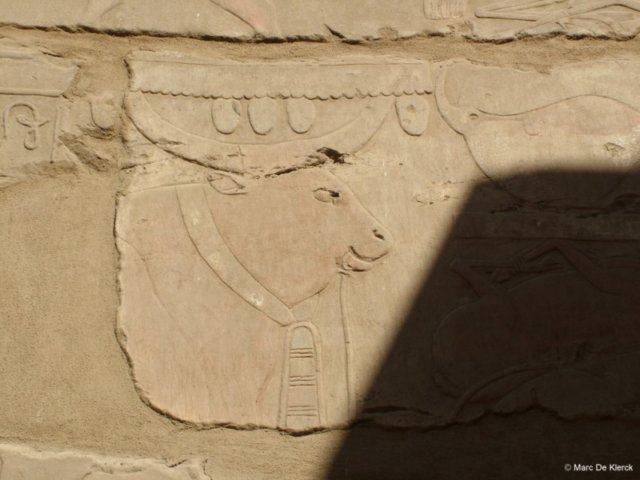 photo120.jpg