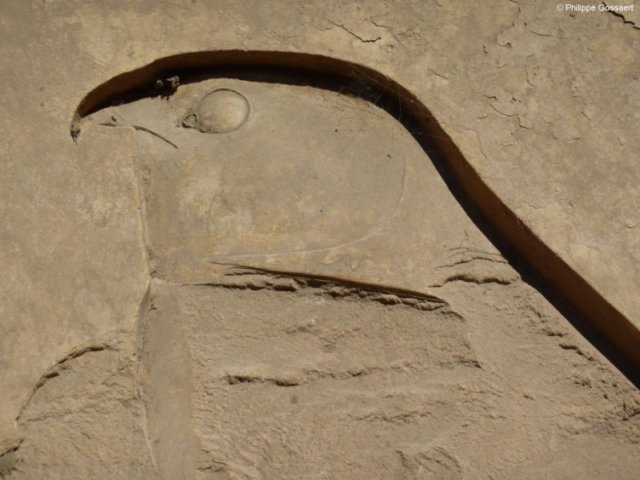 photo5.jpg