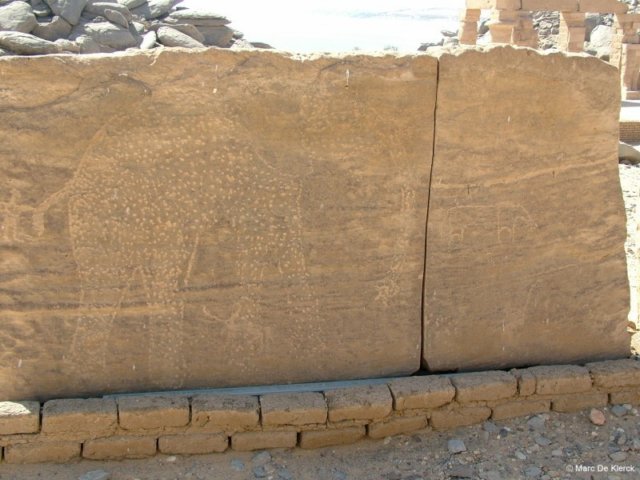 photo16.jpg