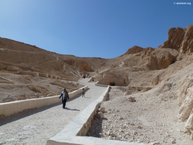 photo.jpg
