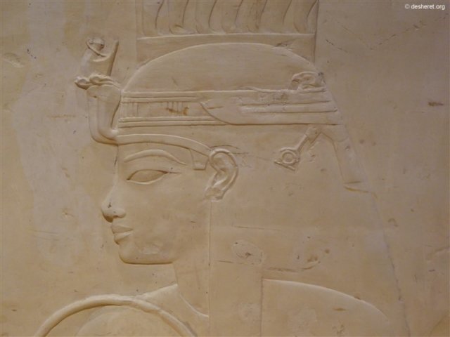 photo56.jpg
