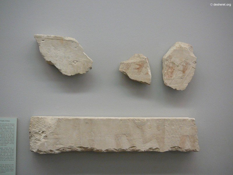 roemer028.jpg