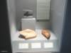 roemer097_small.jpg
