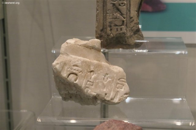 photo28.jpg