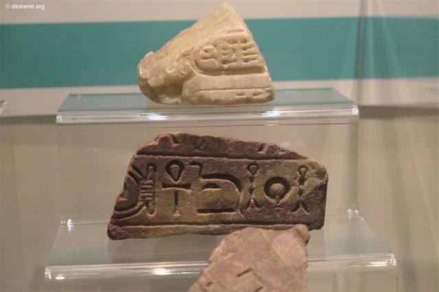 photo29.jpg