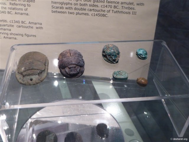 photo35.jpg