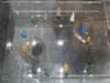 photo78_small.jpg