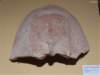 photo146_small.jpg