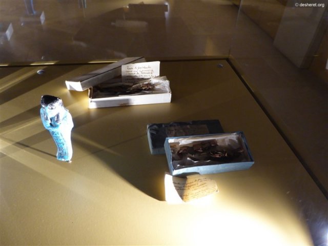 photo196.jpg