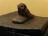 photo315_small.jpg