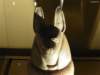 photo397_small.jpg