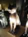 photo441_small.jpg