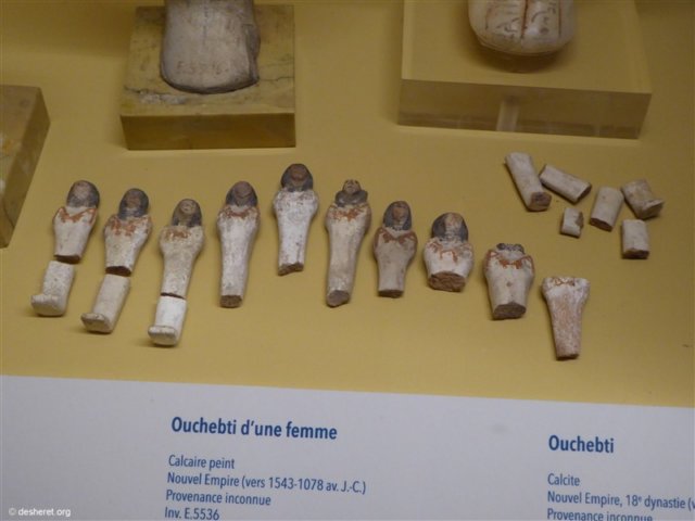 photo66.jpg