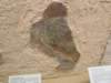 photo158_small.jpg