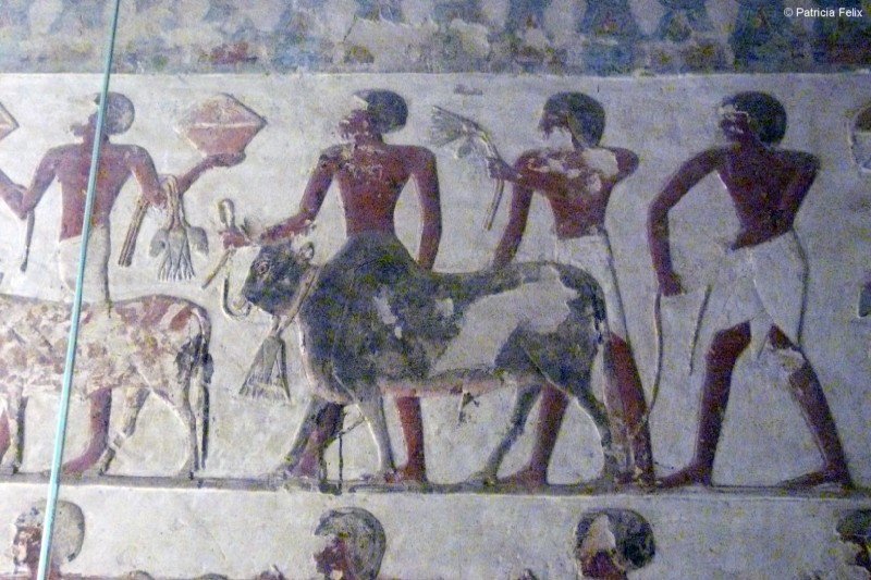 photo25.jpg