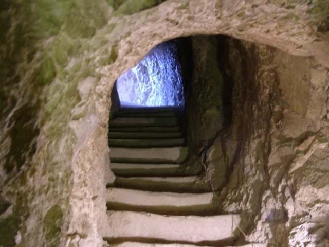 sennefer63.jpg