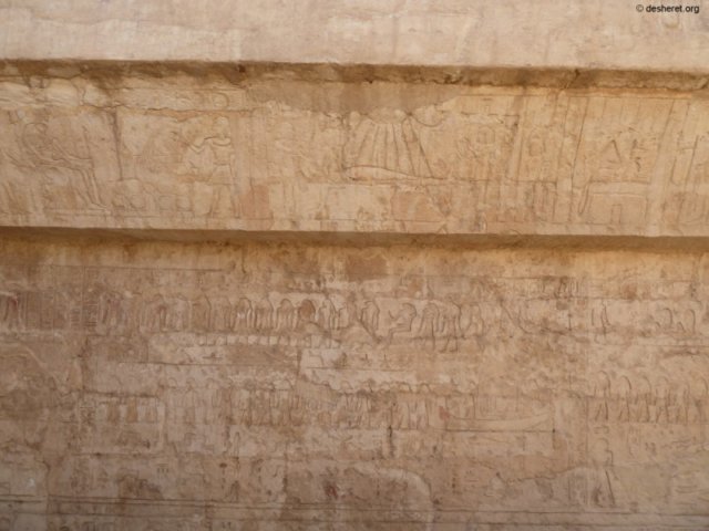 tanis070.jpg