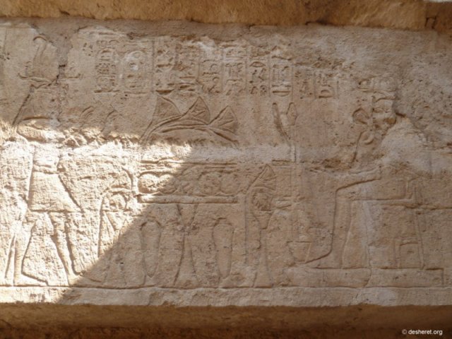 tanis077.jpg