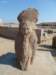 tanis103_small.jpg