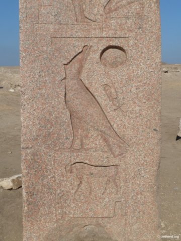 tanis114.jpg
