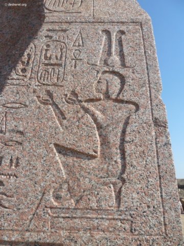 tanis116.jpg