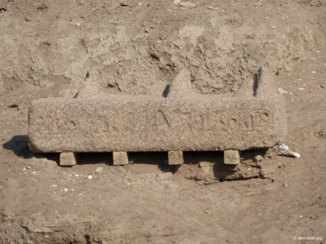 tanis164.jpg