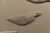 photo74_small.jpg