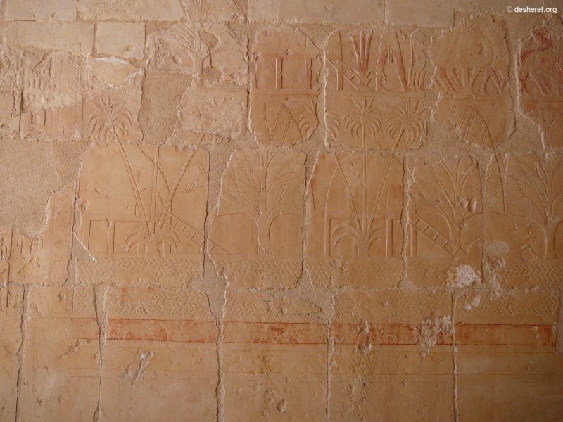 hatshepsut024.jpg