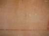 hatshepsut028_small.jpg
