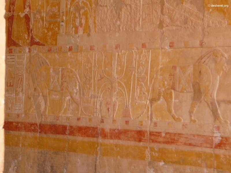 hatshepsut034.jpg
