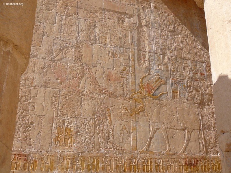 hatshepsut049.jpg