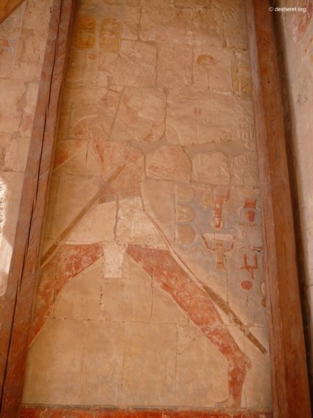 hatshepsut051.jpg
