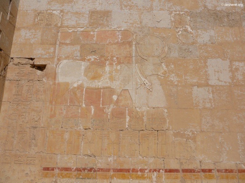 hatshepsut056.jpg