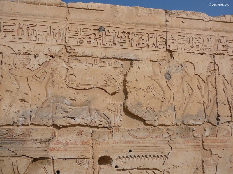ramesses04.jpg