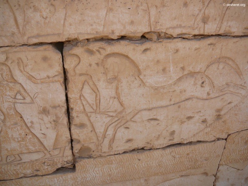 ramesses51.jpg