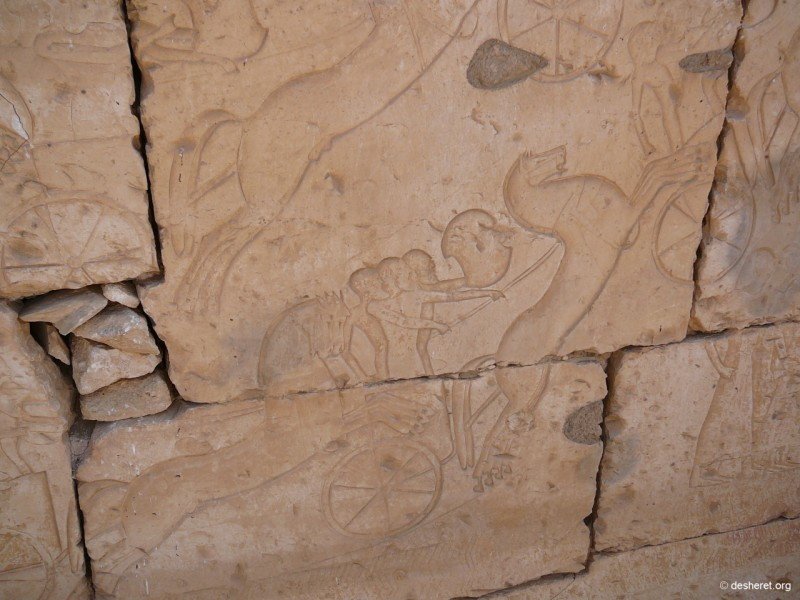 ramesses52.jpg