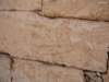 ramesses53_small.jpg