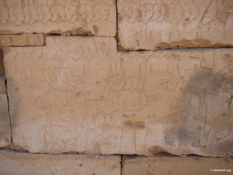 ramesses56.jpg